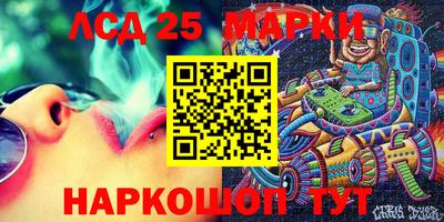 индика Владимир
