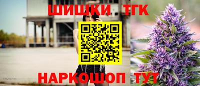 индика Владимир